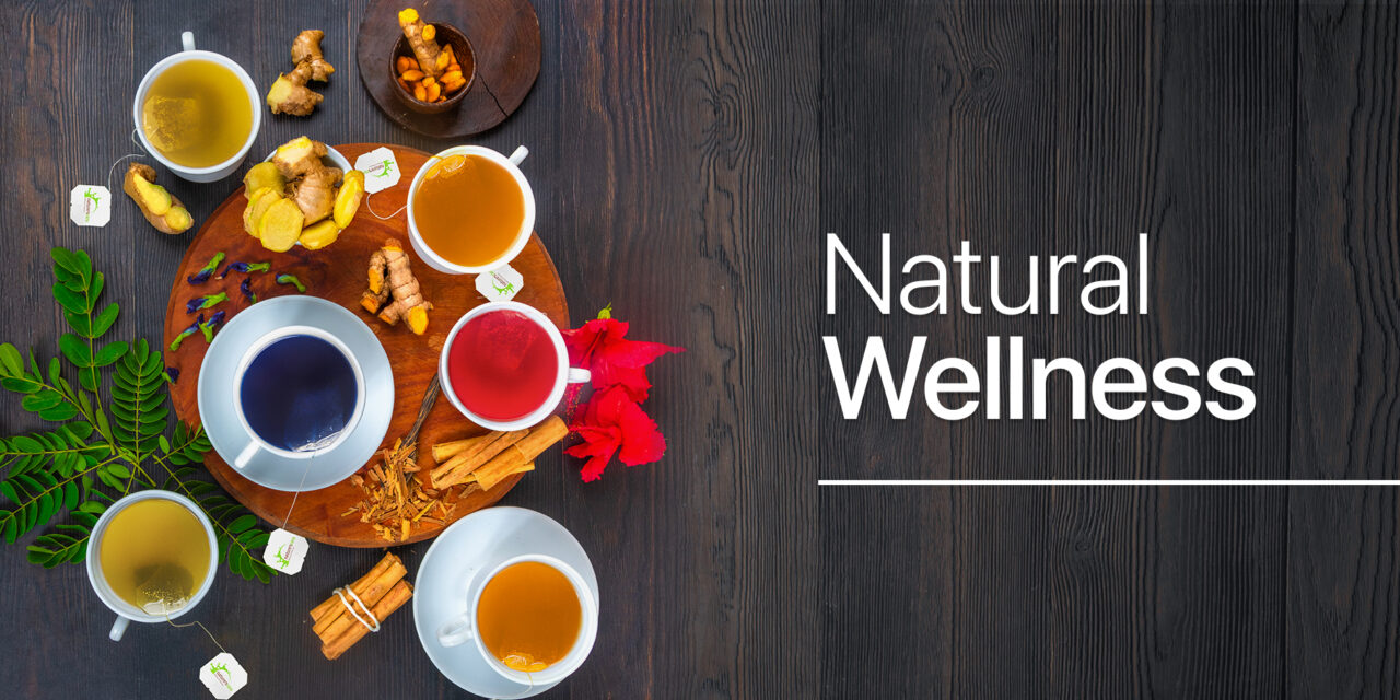 Discovering B-Natural Wellness R: A Holistic Approach to Health