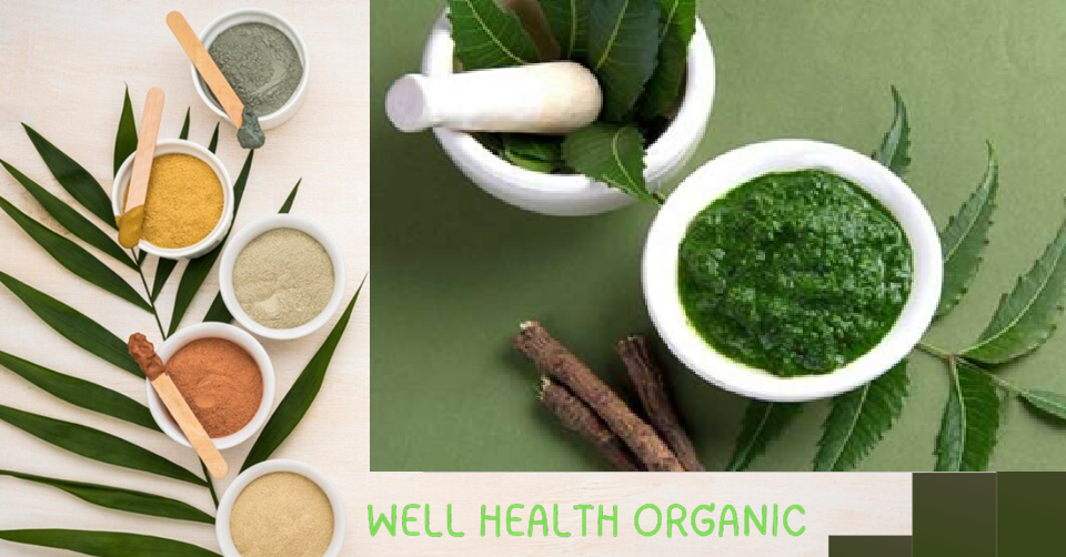 Discovering Well Health Organic Ayurveda: The Ancient Science of Holistic Wellness